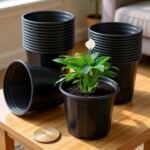 10 Inch Black Nursery Pots - Set of 6 Pots