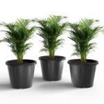 14 Inch Black Nursery Pots - Set of 6 Pots