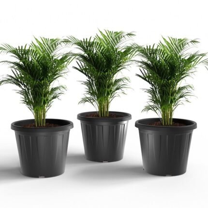 14 Inch Black Nursery Pots - Set of 6 Pots