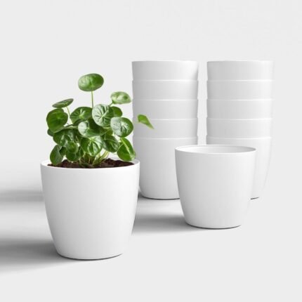 4 Inch White Fancy Pot
