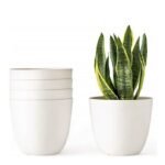 6 Inch White Fancy Pot