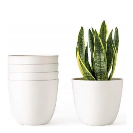 6 Inch White Fancy Pot