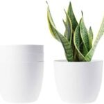 7 Inch White Fancy Pot