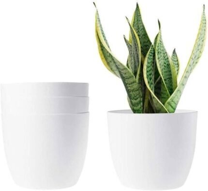 7 Inch White Fancy Pot