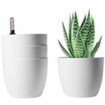 8 Inch White Fancy Pot