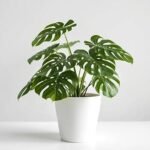 18 Inch White Fancy Pot