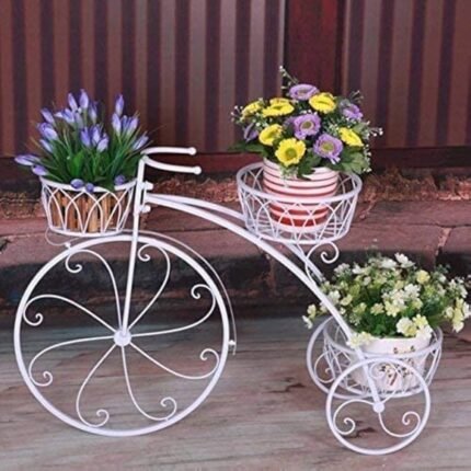 Cycle  Stand - 3 Steps